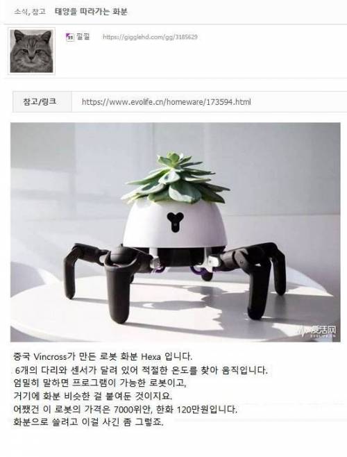 인공지능 화분.gif