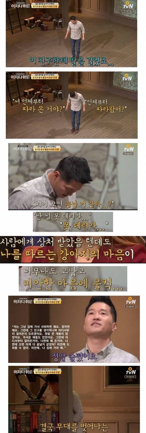 유기견 봉사 활동이 바꾼 인생.jpg