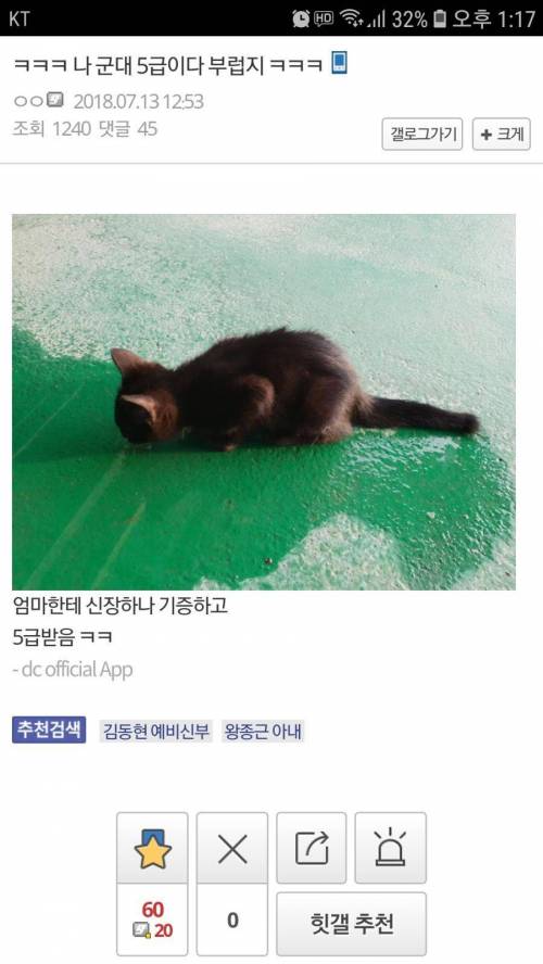 신검 5급 나온 디씨인.jpg