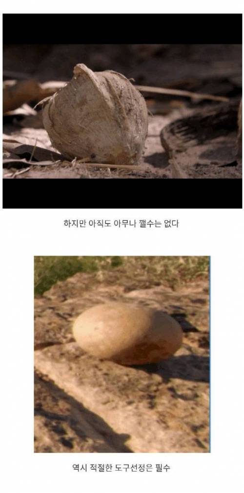 혹성탈출까지 앞으로 200만년.jpg