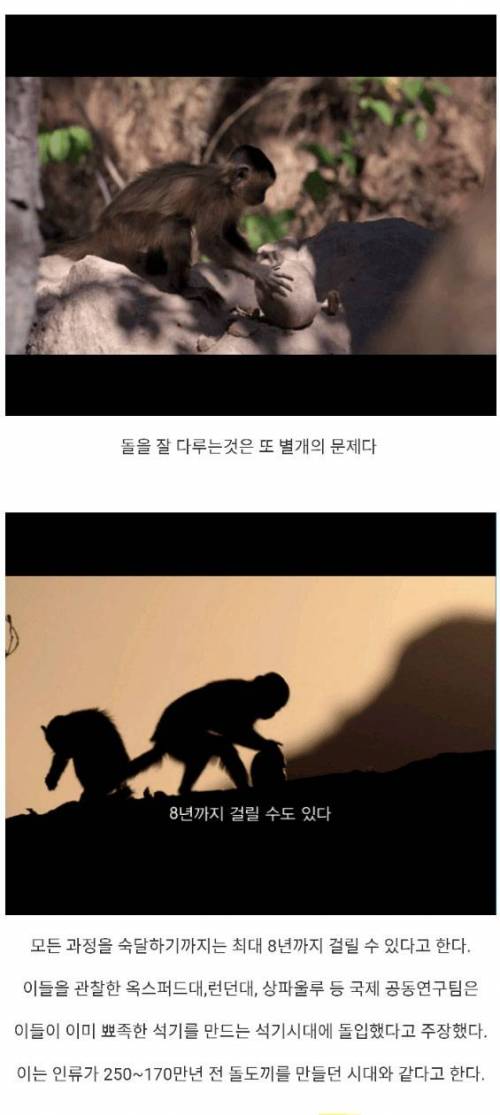 혹성탈출까지 앞으로 200만년.jpg