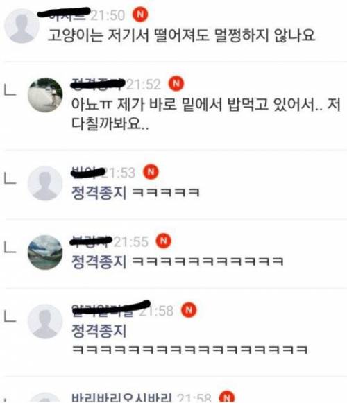 고양이가 걱정인 사람.jpg