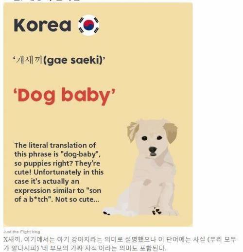 세계 각국의 욕.jpg