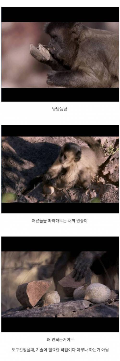 혹성탈출까지 앞으로 200만년.jpg