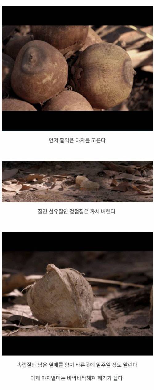 혹성탈출까지 앞으로 200만년.jpg