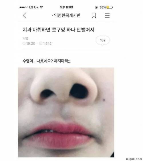 콧구멍 하나가 안 벌어져.jpg