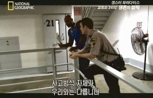 유민상의 콩고기 역발상.jpg