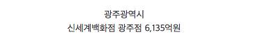 각 시도별 매출이 가장 높은 백화점.jpg