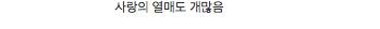 대륙 영화 스케일.jpg