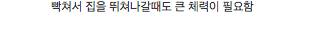 대륙 영화 스케일.jpg