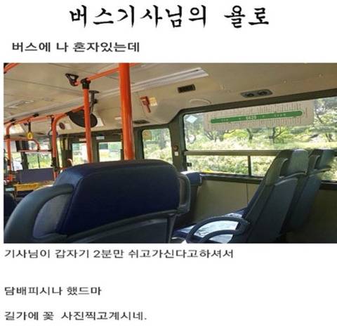 버스기사님의 욜로.jpg