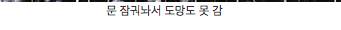 대륙 영화 스케일.jpg