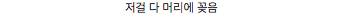 대륙 영화 스케일.jpg
