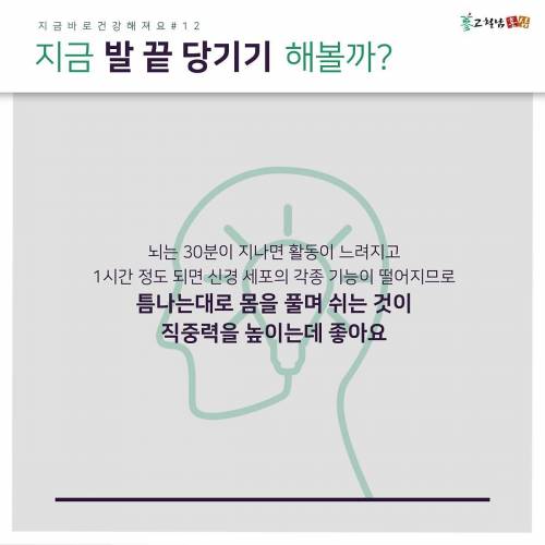지금 발 끝 당기기 해볼까?