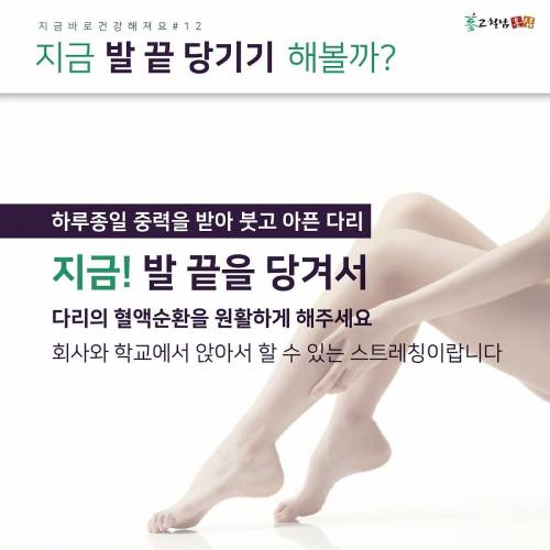 지금 발 끝 당기기 해볼까?