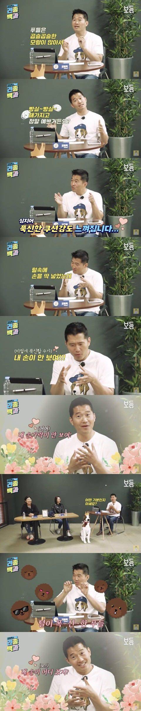 강형욱이 말하는 푸들.jpg