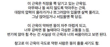 우리 몸에서 가장 중요한 근육 중 하나.jpg
