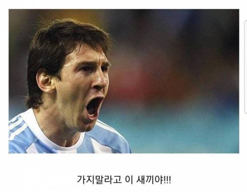 유벤투스로 이적하는 호날두.jpg