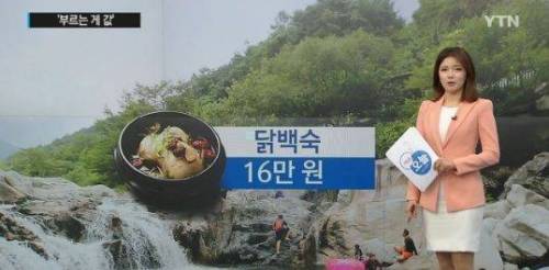 유명 계곡 작년 닭백숙 가격