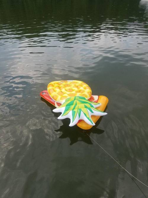 물놀이 왔는데 테러리스트가 있다.jpg