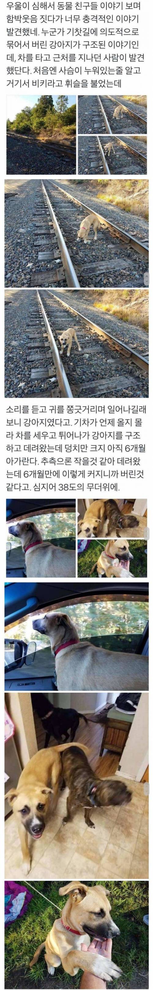 사탄 천국으로 전격 이적.jpg