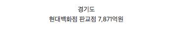각 시도별 매출이 가장 높은 백화점.jpg