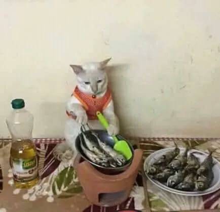일 하기 싫다...jpg
