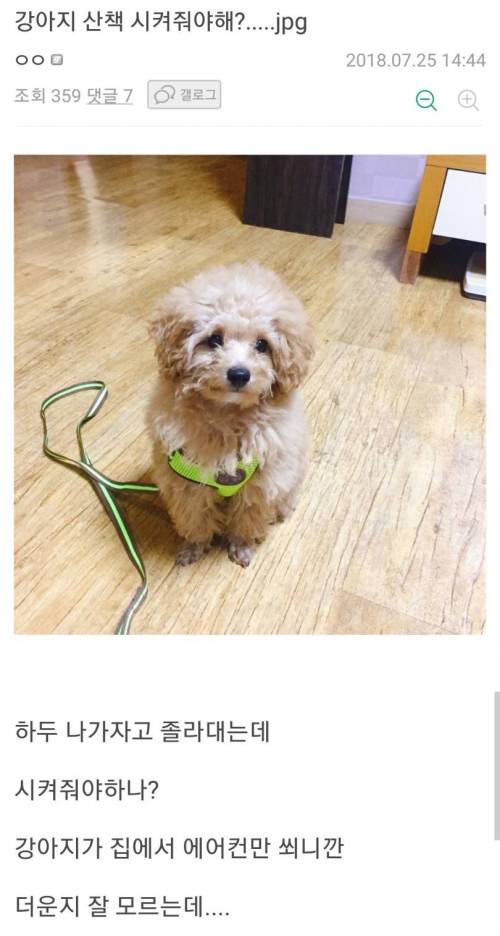 집안이 답답한 댕댕이.jpg