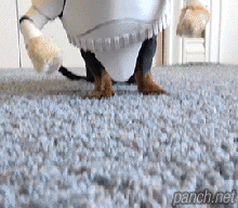 흔한 스톰트루퍼 코스프레.gif