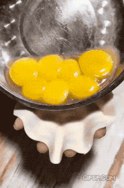 계란 만두 빚기.gif