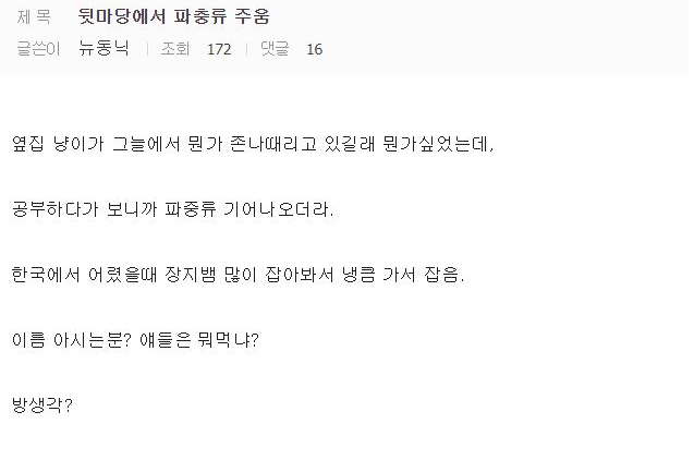 뒷마당에서 파충류 주움 .jpg