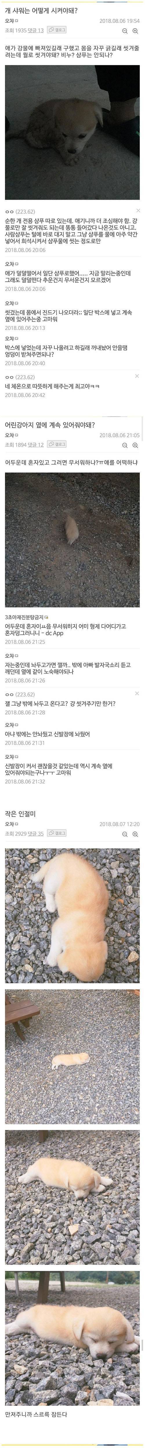 [스압] 강에 빠진 개를 구한 디씨인.jpgif