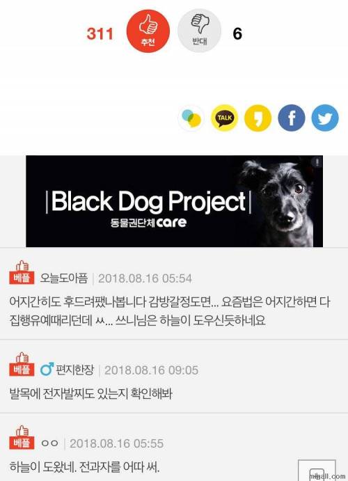군대 간 줄 알았더니 감방 갔던 전 남친.jpg