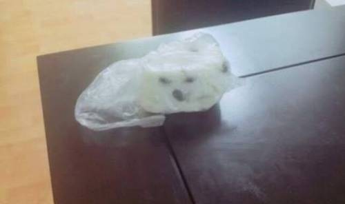 개떡 레전드..jpg
