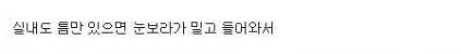레알 눈꽃 빙수.jpg