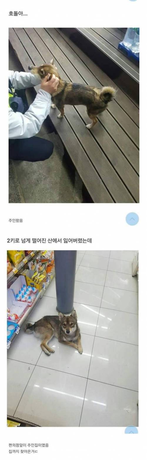 편의점 호돌이.jpg
