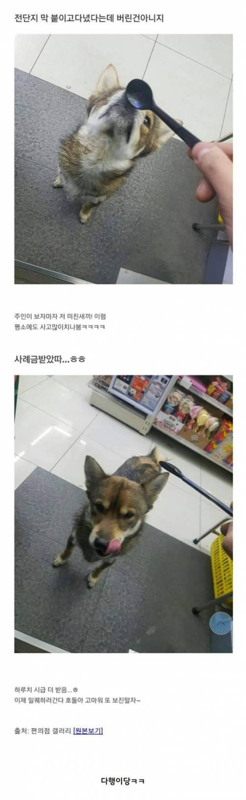 편의점 호돌이.jpg