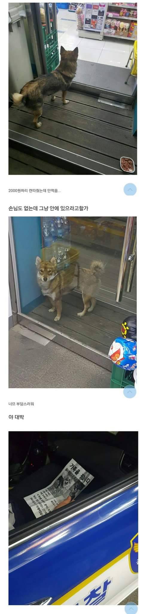 편의점 호돌이.jpg