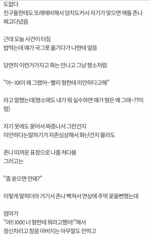 논란 중인 동생폭행.jpg