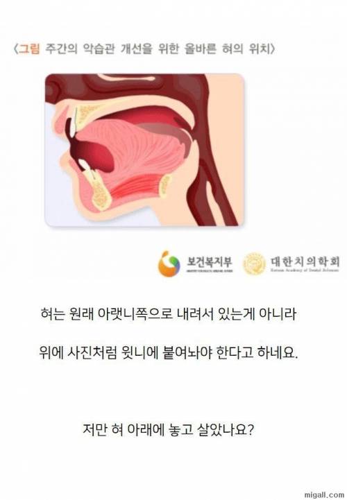 혀의 원래 위치.jpg