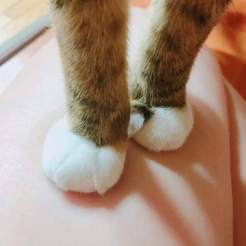 떼껄룩의 맛집 인증 스탬프.jpg
