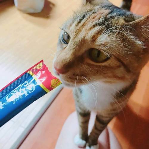 떼껄룩의 맛집 인증 스탬프.jpg