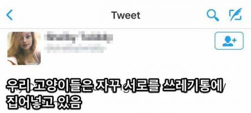 기묘한 전쟁.jpg