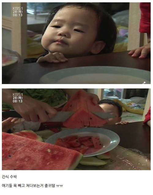 [스압]소문난 네쌍둥이 어머님이 만들어 먹이시는 건강식단