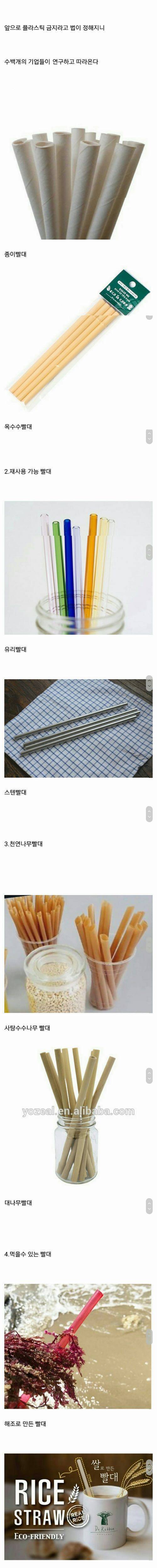 플라스틱 빨대 대신 사용할 수 있는 천연 빨대들.jpg