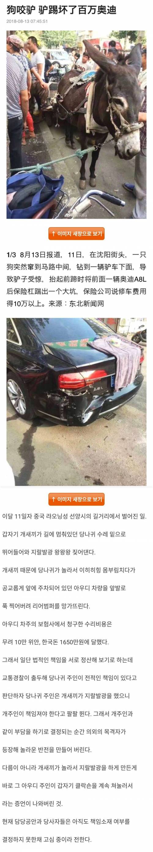 중국의 최신 사건.jpg