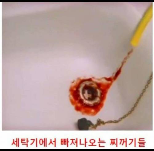 패트와 매트 결말.jpg