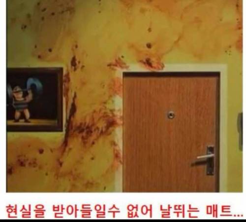 패트와 매트 결말.jpg