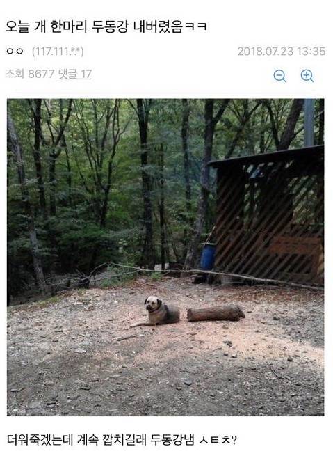 강아지를 반으로 갈라버린 디시인.jpg