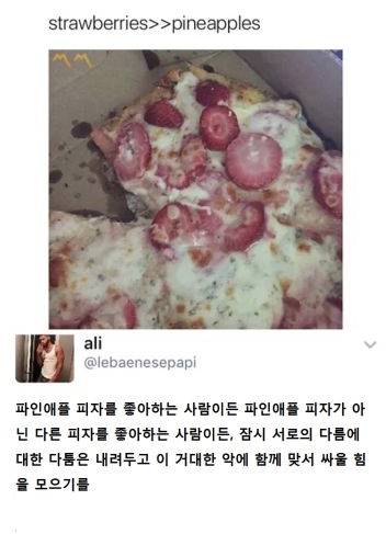 지금 파인애플 피자가 문제가 아니야